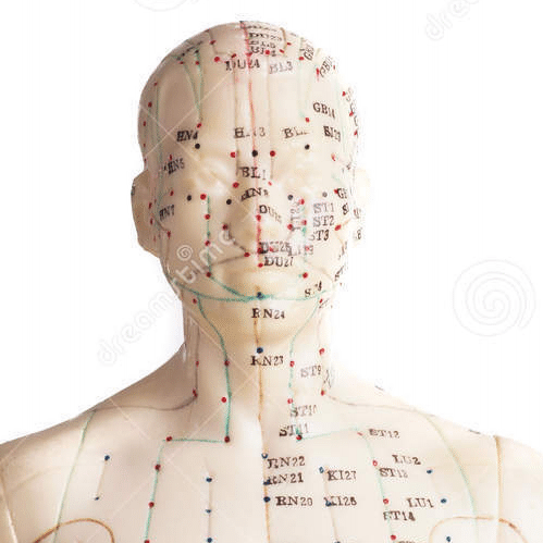 Um eine umfassende unf ganzheitliche Betreuung und Therapie zu realisieren bieten wir auch Akupunktur und Ernährungsmedizin an.